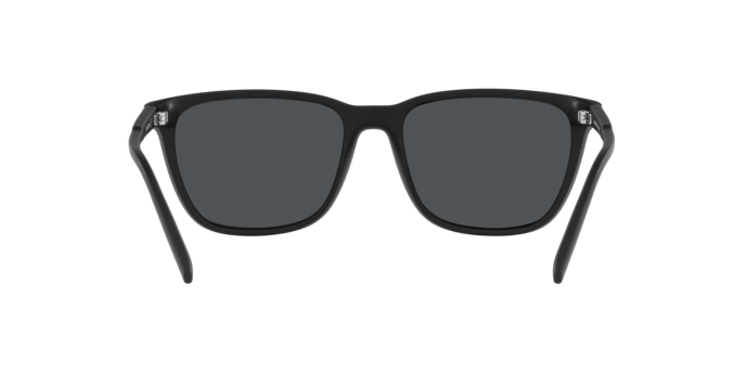 Arnette Cortex AN4291 275887