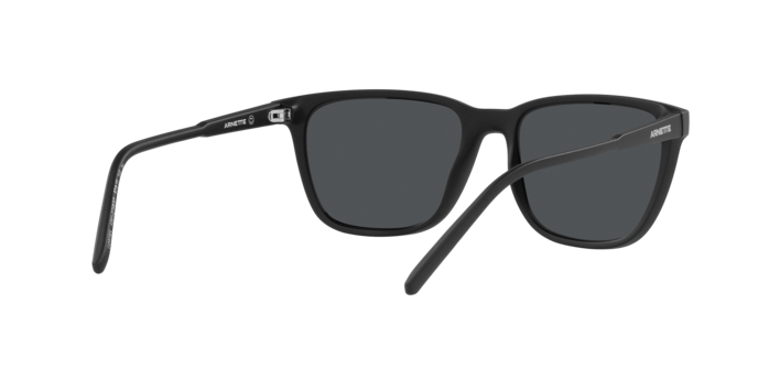 Arnette Cortex AN4291 275887