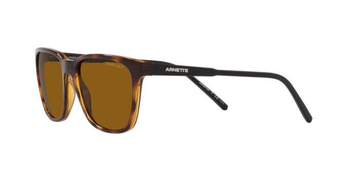 Arnette Cortex AN4291 277083
