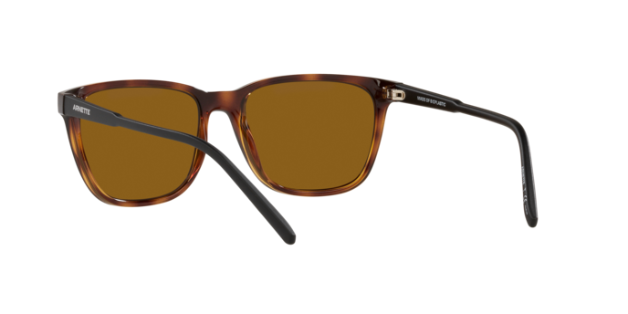 Arnette Cortex AN4291 277083