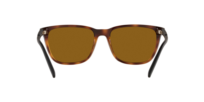 Arnette Cortex AN4291 277083