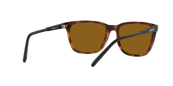 Arnette Cortex AN4291 277083