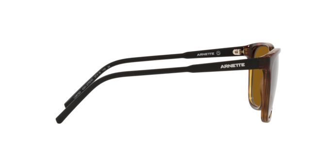 Arnette Cortex AN4291 277083