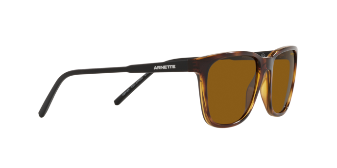 Arnette Cortex AN4291 277083