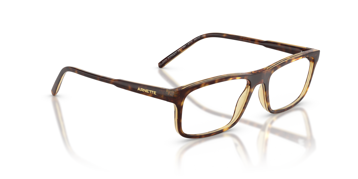 Arnette Dark Voyager AN7194 2770