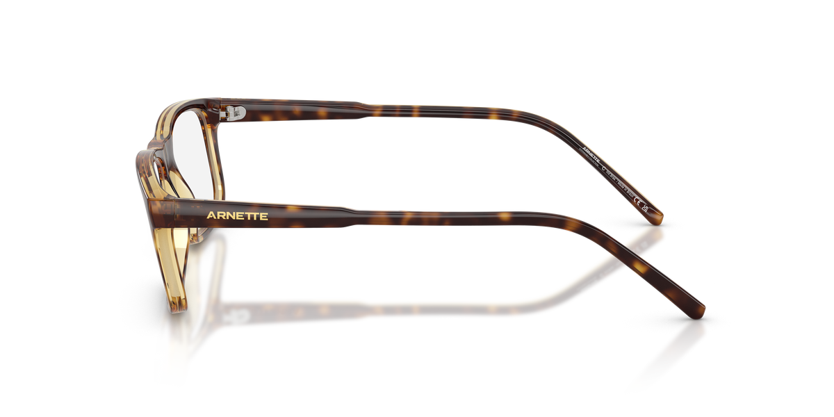 Arnette Dark Voyager AN7194 2770