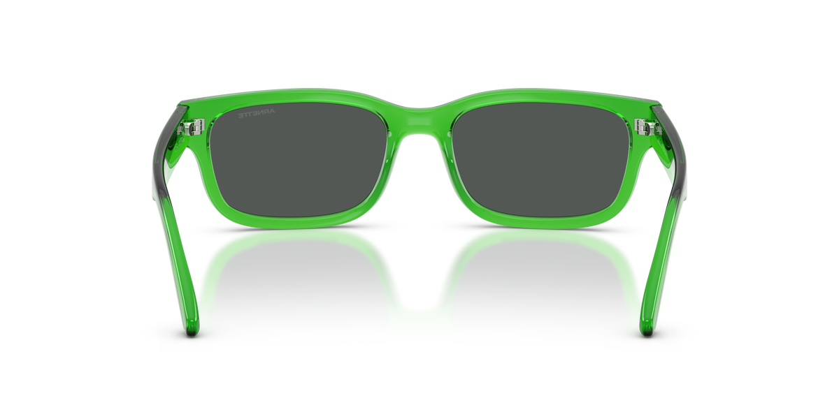 Arnette Defyer AN4363 301487