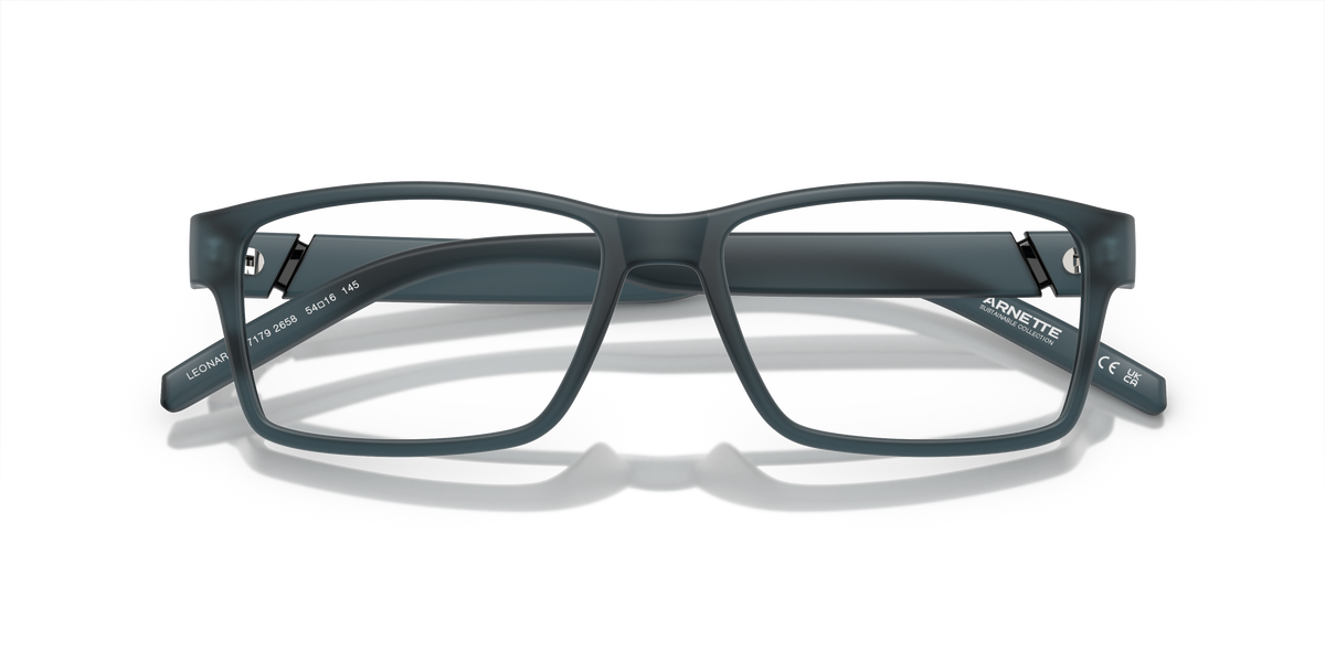 Arnette AN7179 LEONARDO 2658