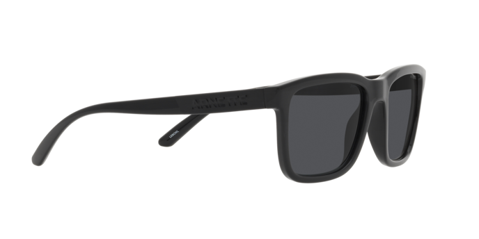 Arnette Lebowl AN4321 275387
