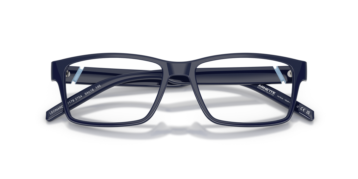 Arnette Leonardo AN7179 2754