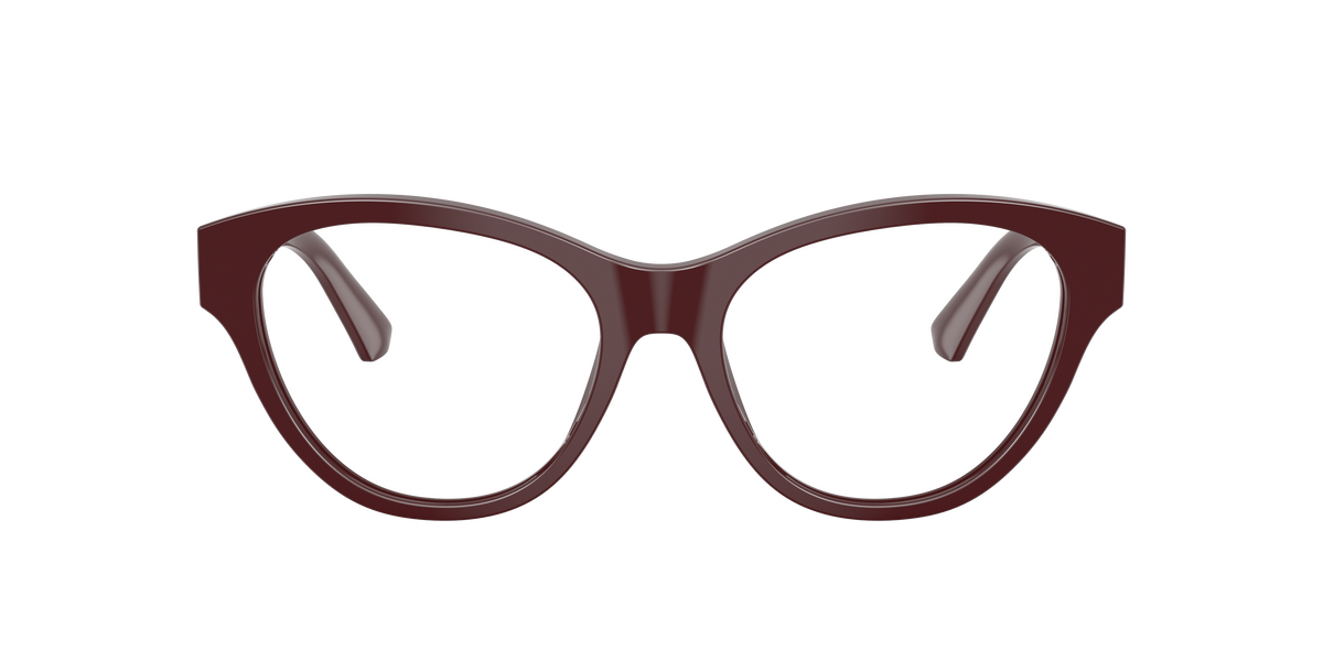 Burberry BE2458 4119