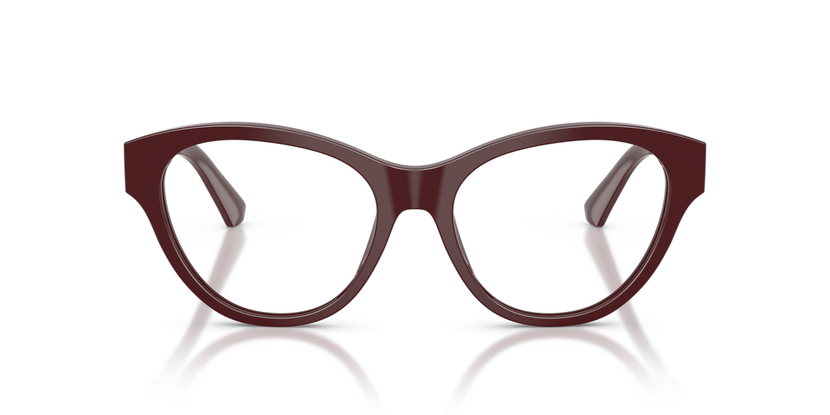 Burberry BE2458 4119