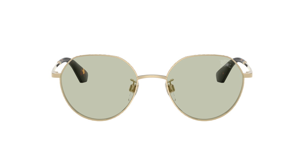 Burberry BE3173D 1109/2