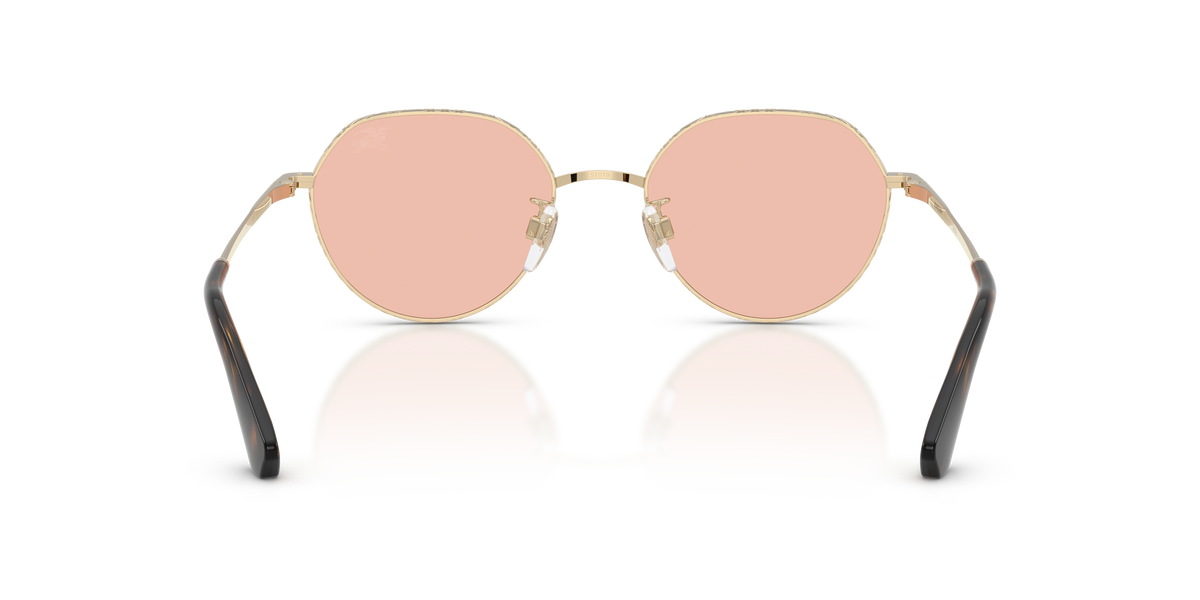 Burberry BE3173D 110984