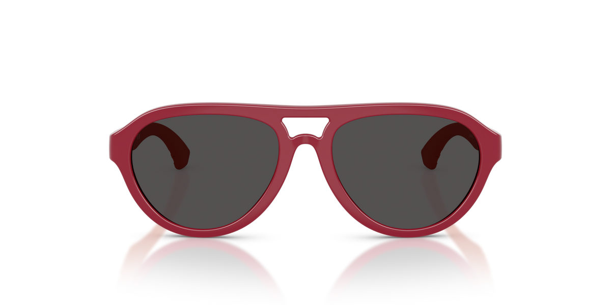 Burberry JB4005U 418187