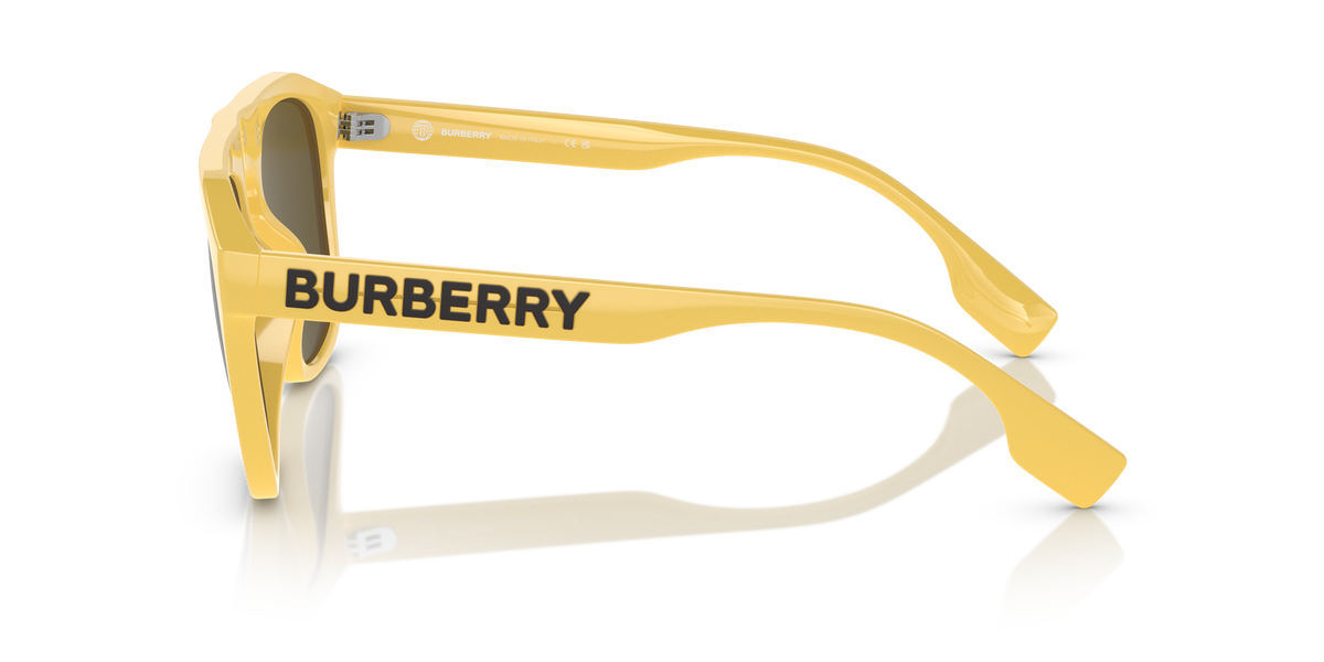 Burberry BE4396U WREN 407073