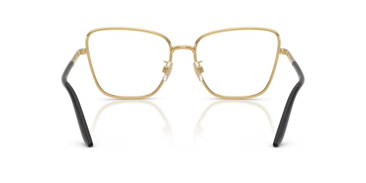 Dolce & Gabbana DG1359 02