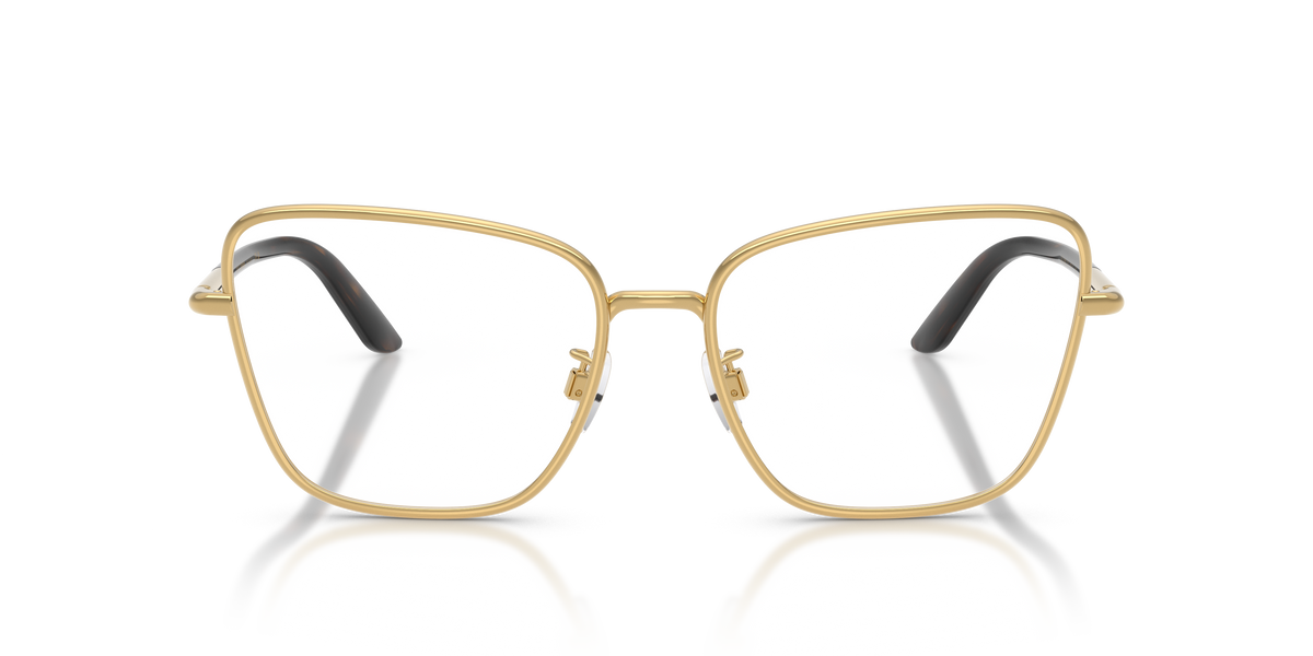 Dolce & Gabbana DG1359 02
