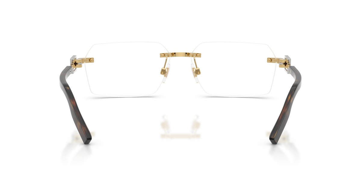 Dolce & Gabbana DG1361 02