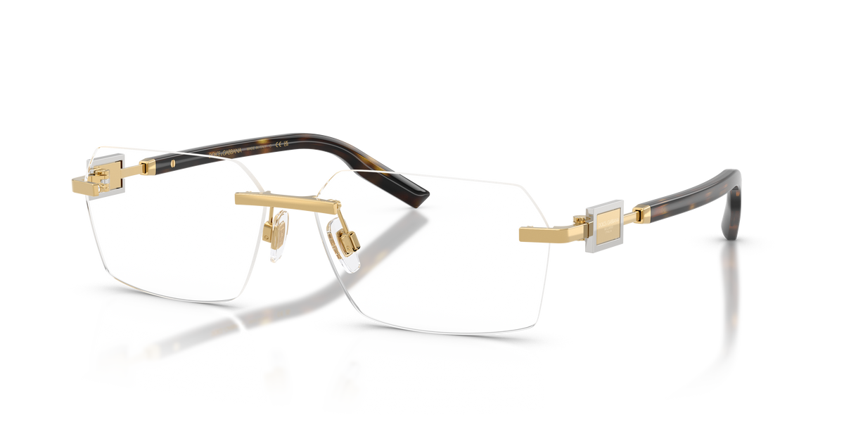 Dolce & Gabbana DG1361 02