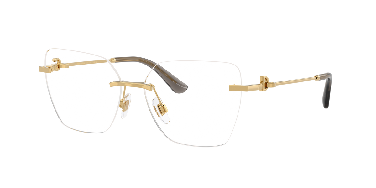 Dolce & Gabbana DG1363 02