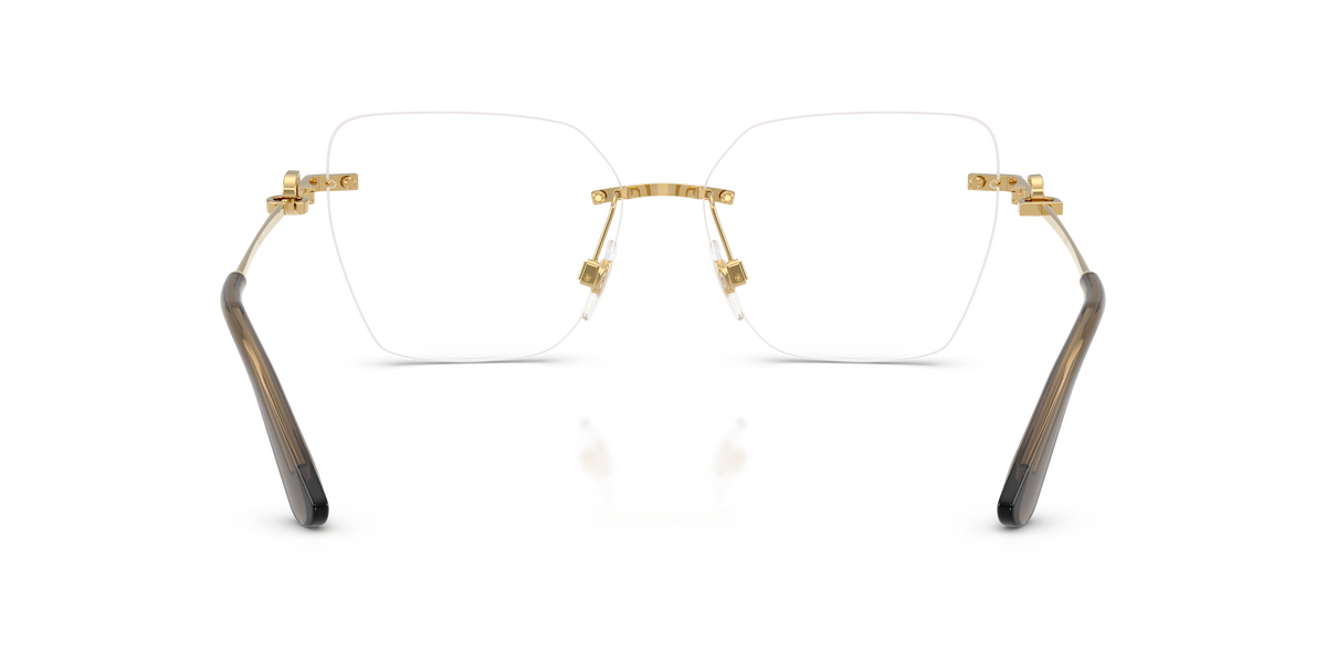 Dolce & Gabbana DG1363 02