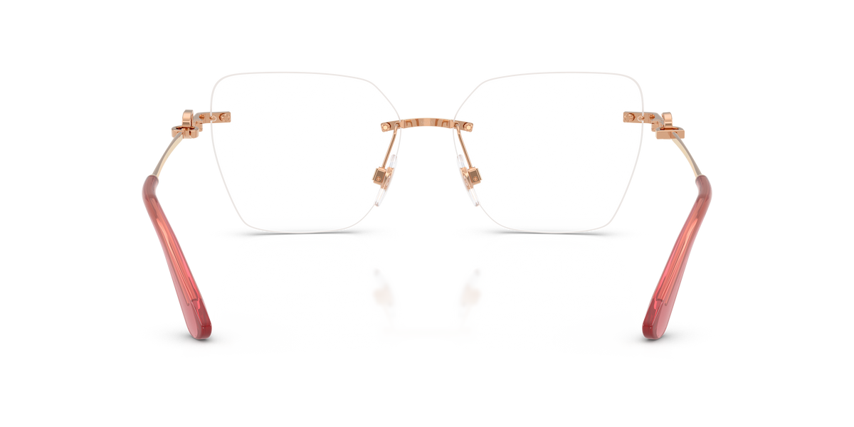 Dolce & Gabbana DG1363 1298