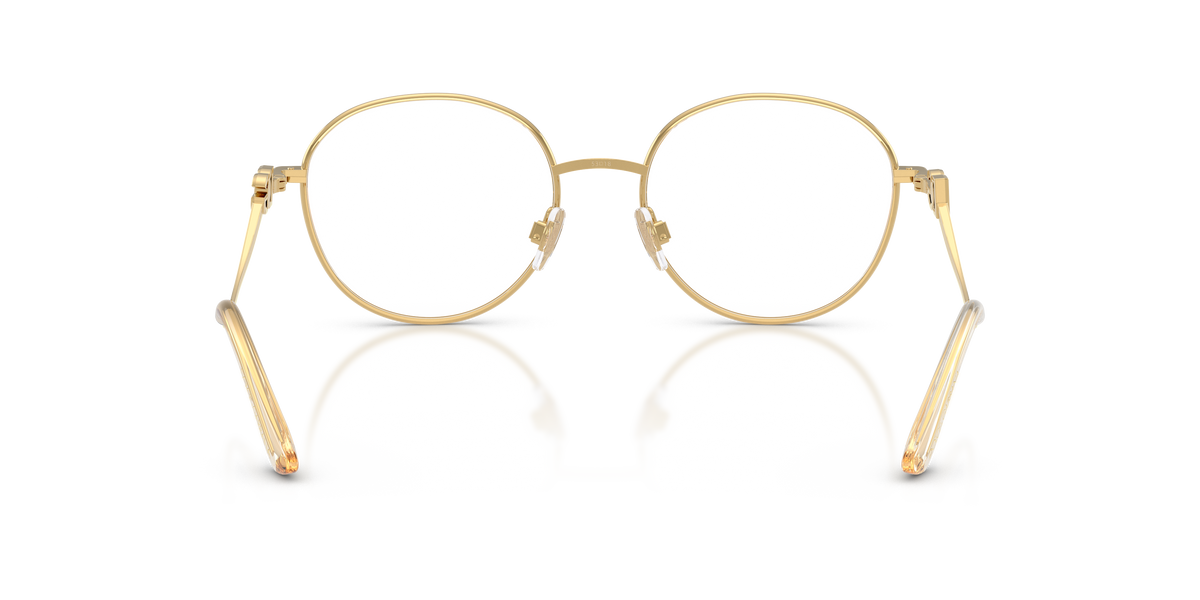 Dolce & Gabbana DG1365 02