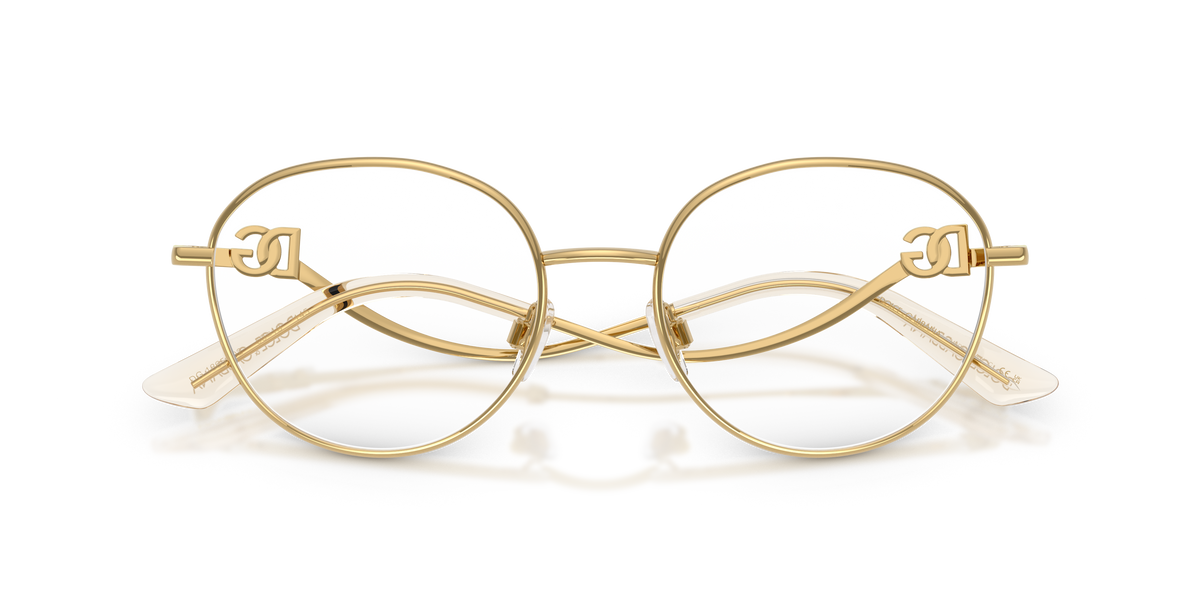 Dolce & Gabbana DG1365 02