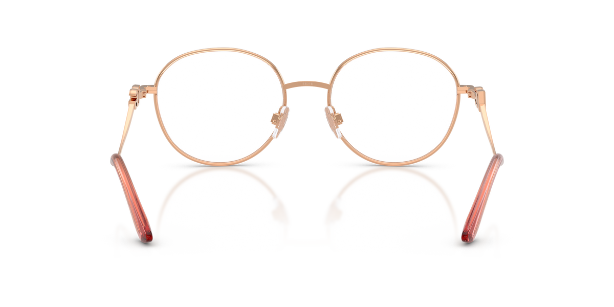 Dolce & Gabbana DG1365 1369