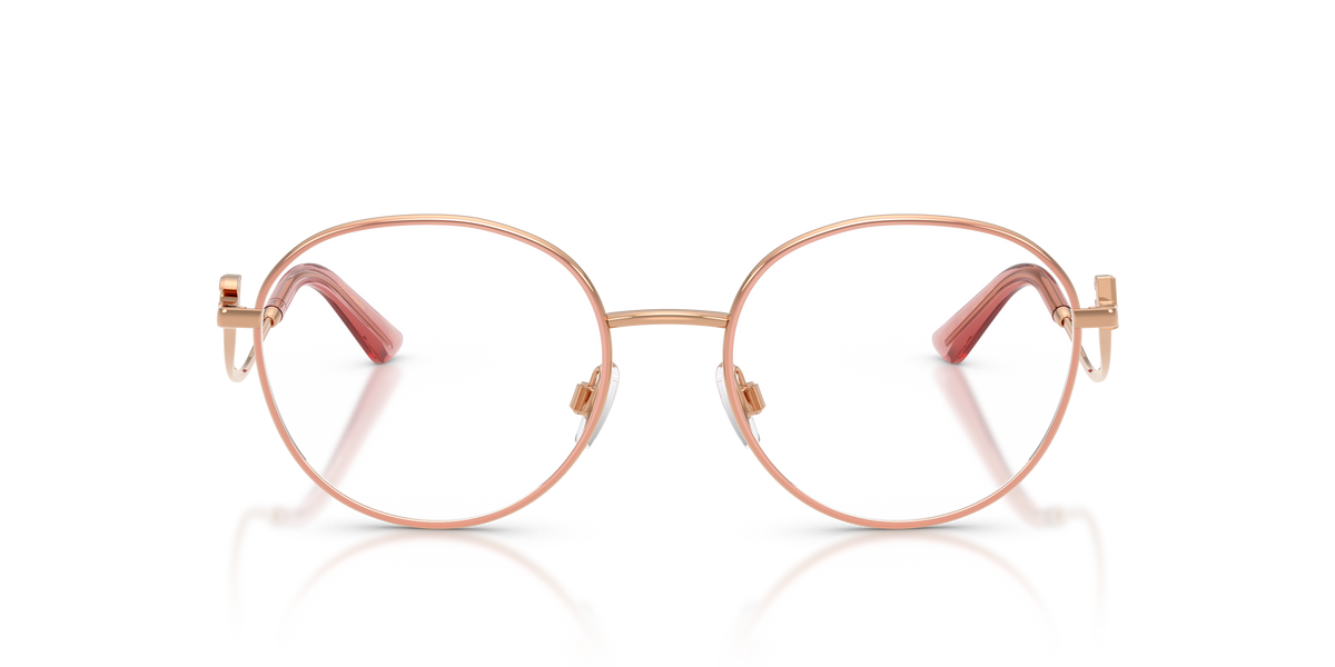 Dolce & Gabbana DG1365 1369