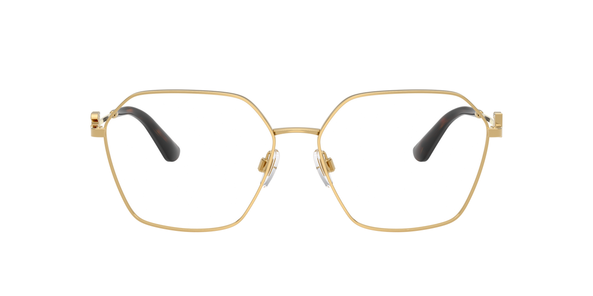 Dolce & Gabbana DG1366 02