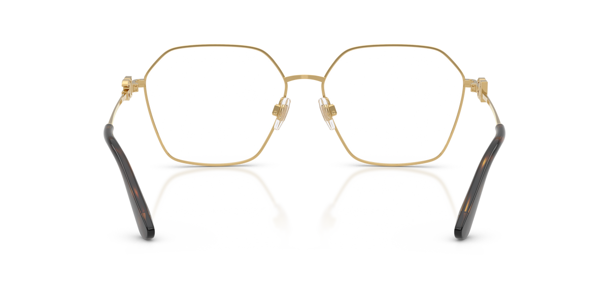 Dolce & Gabbana DG1366 02