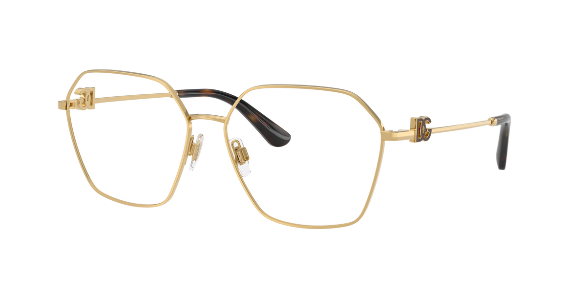 Dolce & Gabbana DG1366 02