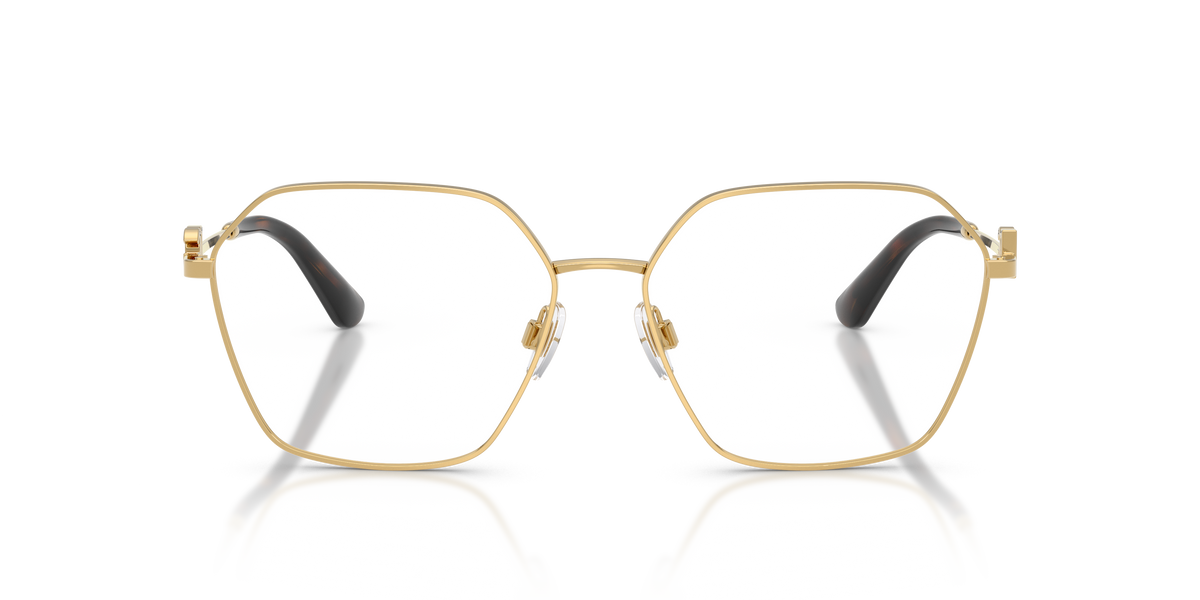 Dolce & Gabbana DG1366 02