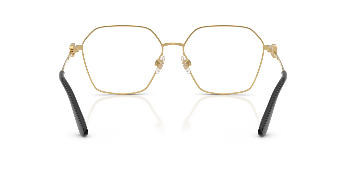 Dolce & Gabbana DG1366 1334
