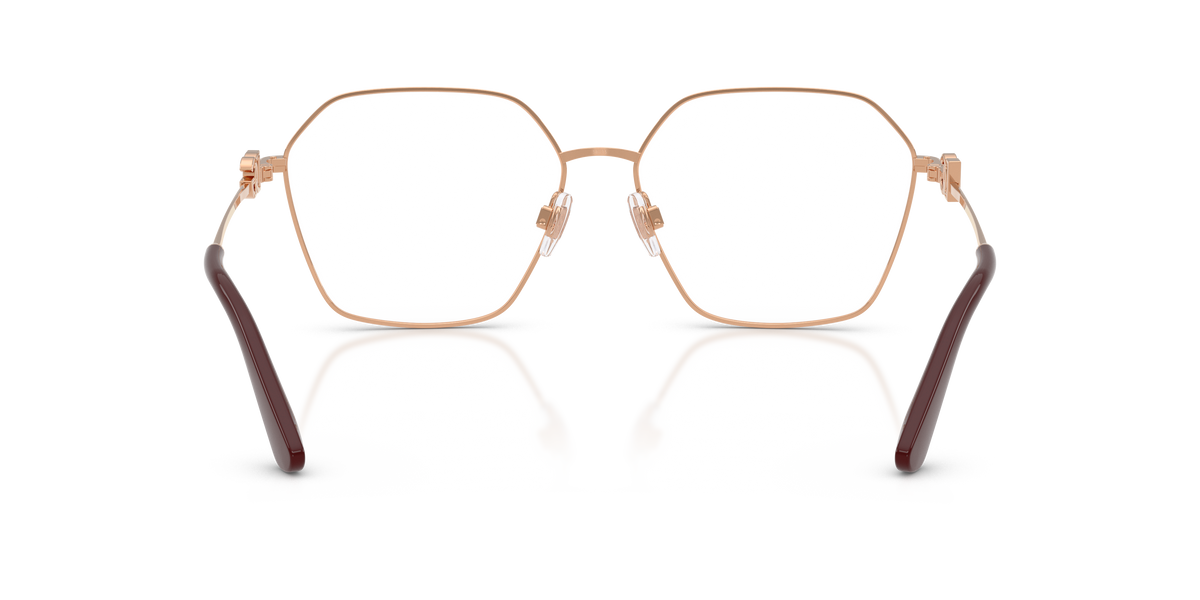Dolce & Gabbana DG1366 1351