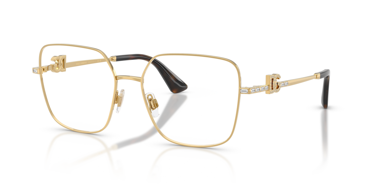 Dolce & Gabbana DG1367B 02