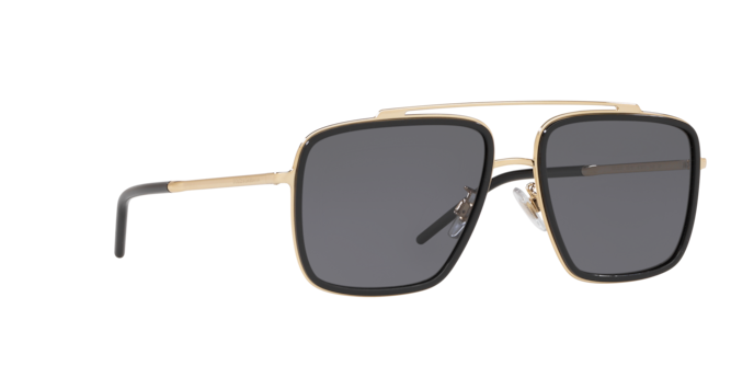 Dolce & Gabbana DG2220 02/81