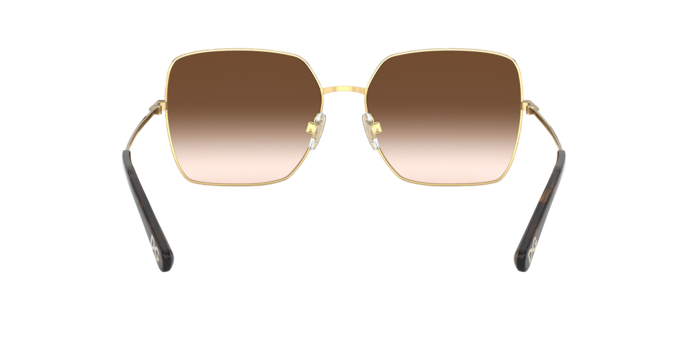Dolce & Gabbana DG2242 02/13