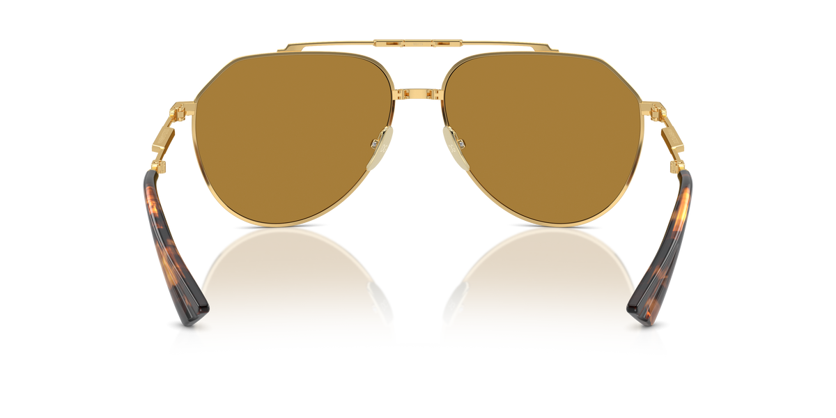 Dolce & Gabbana DG2302 02/53