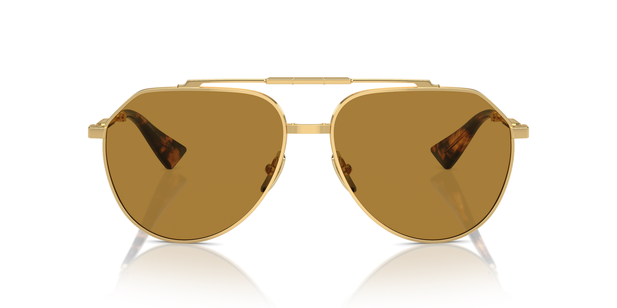 Dolce & Gabbana DG2302 02/53