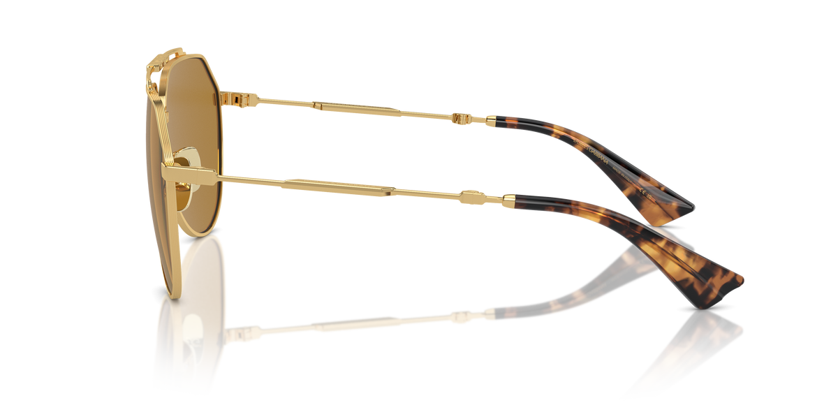 Dolce & Gabbana DG2302 02/53