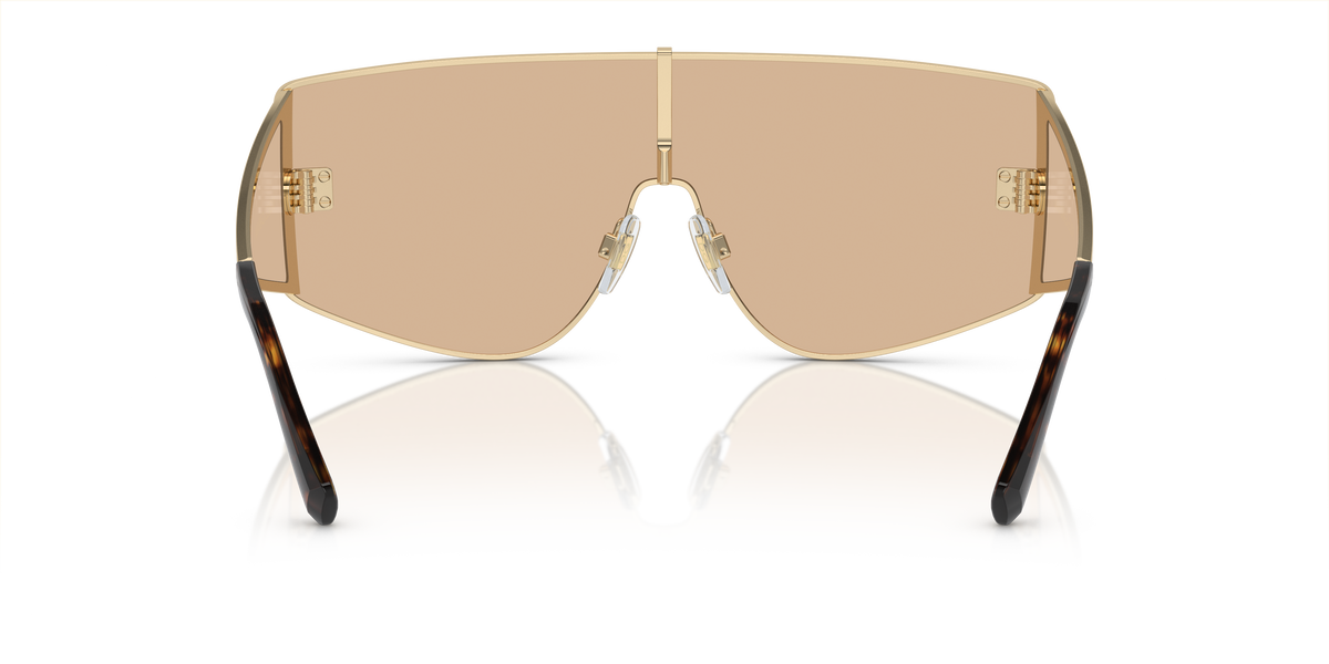 Dolce & Gabbana DG2305 13655A
