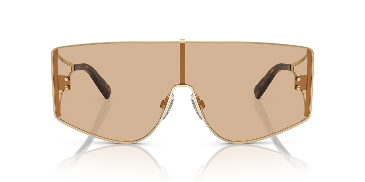 Dolce & Gabbana DG2305 13655A