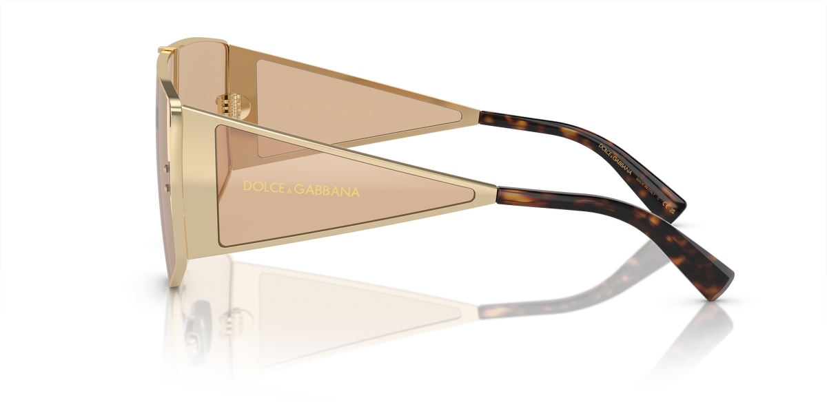 Dolce & Gabbana DG2305 13655A