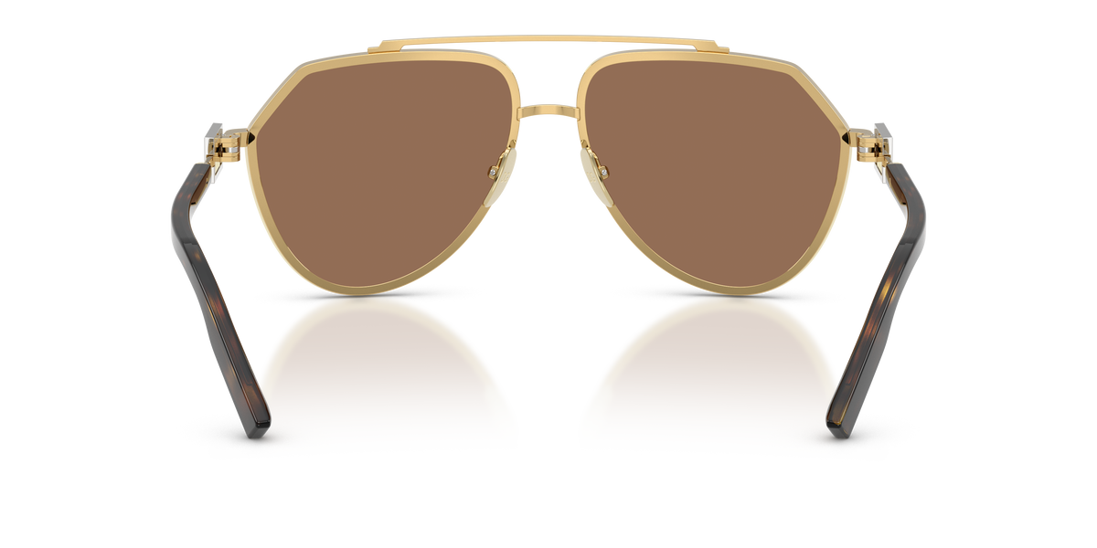 Dolce & Gabbana DG2315 02/73