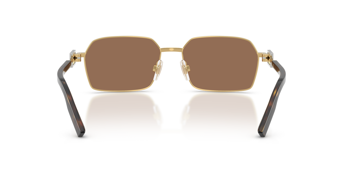 Dolce & Gabbana DG2316 02/73