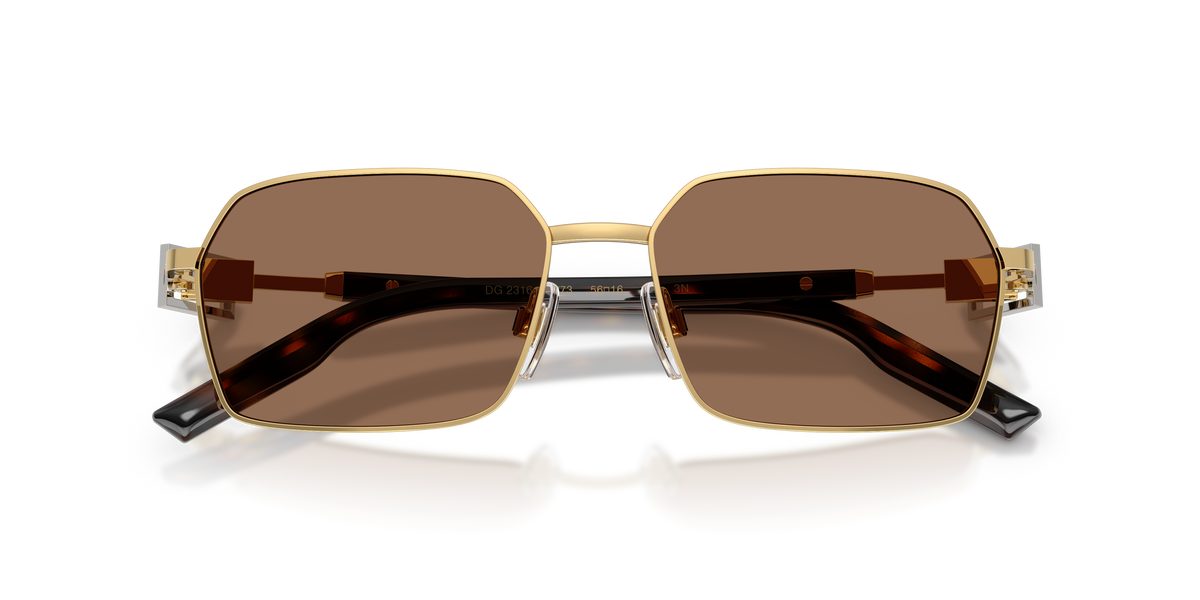 Dolce & Gabbana DG2316 02/73