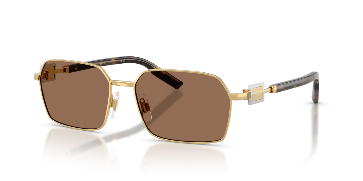 Dolce & Gabbana DG2316 02/73